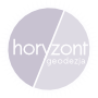 Horyzont geodezja